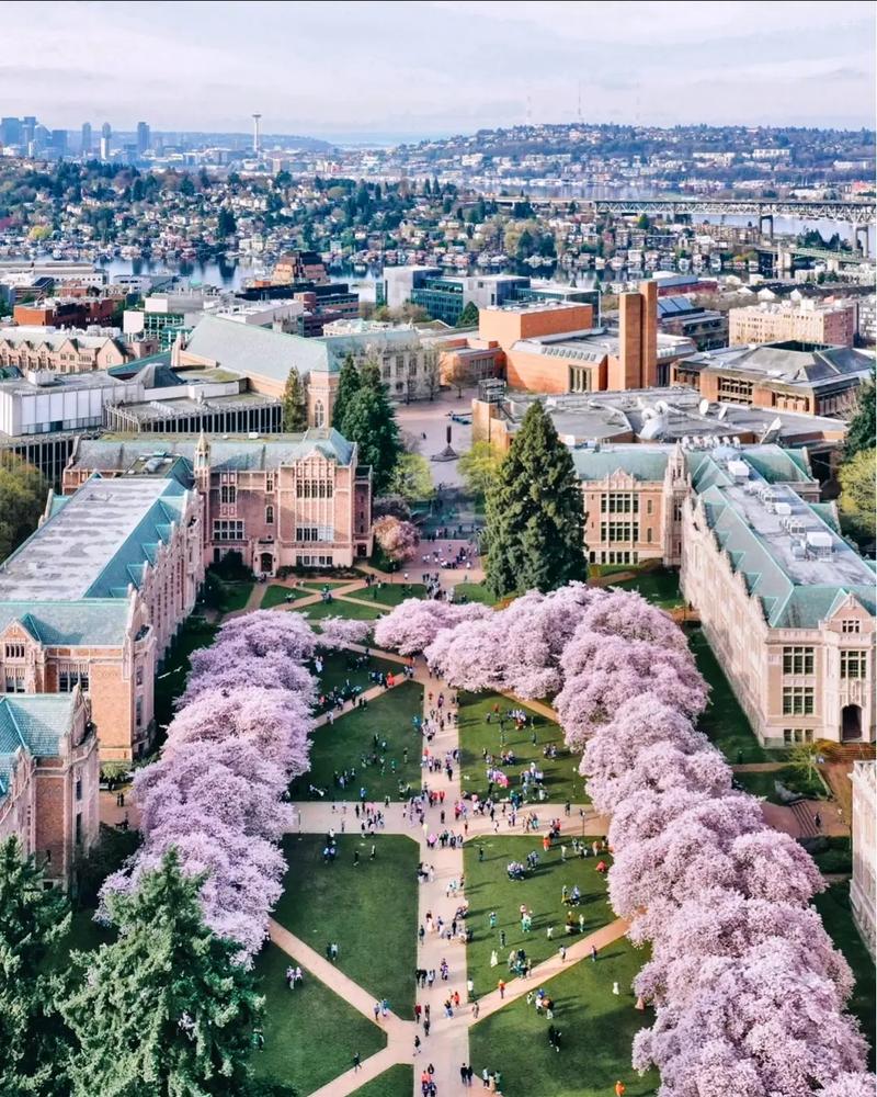 首尔太阳女子大学